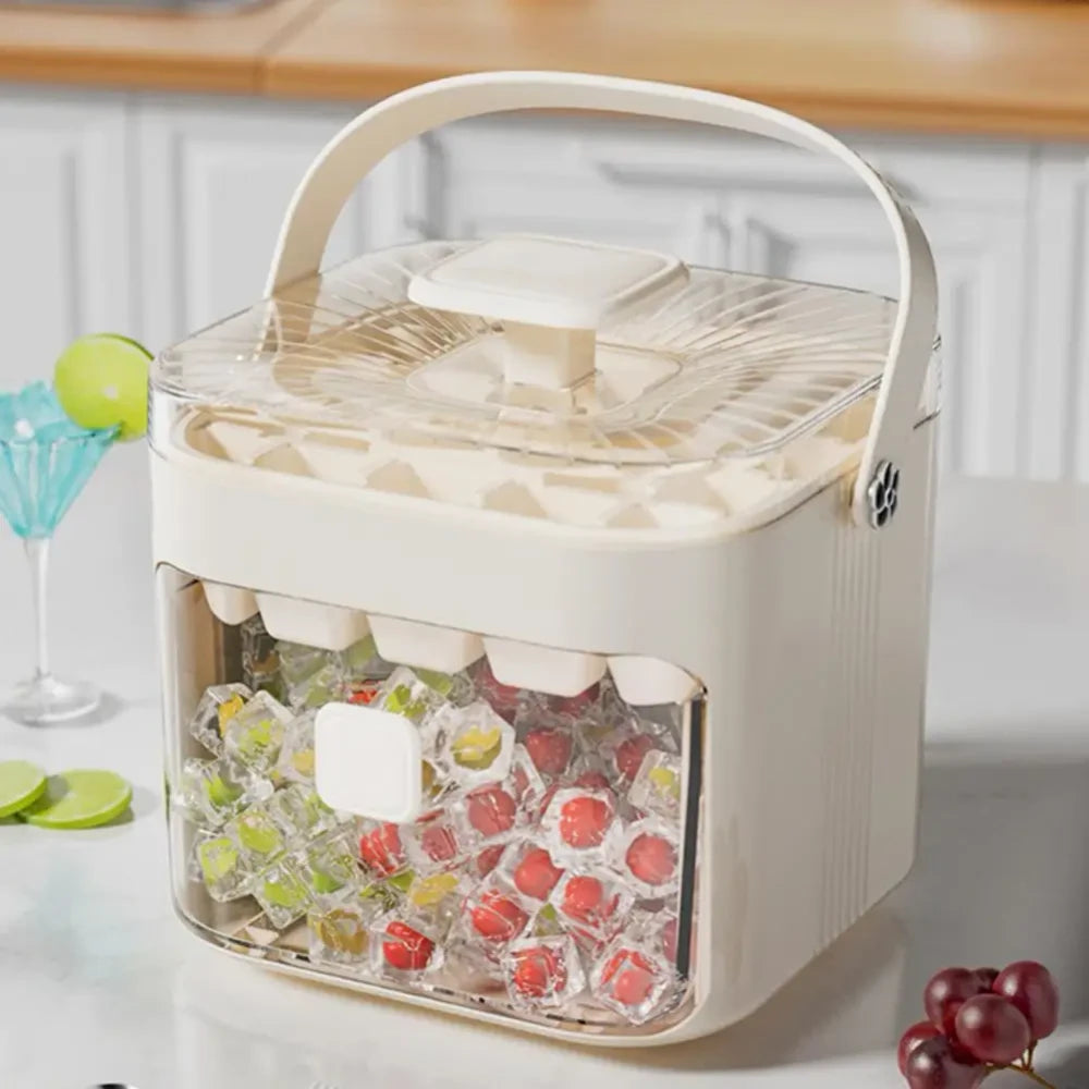 Transparent Ice Cube Storage Box
